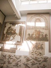 Almadany programme - Museums