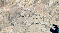 Green Tunisia-Almadanya plante un Million d'arbres