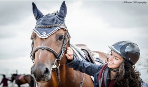 société-équitation